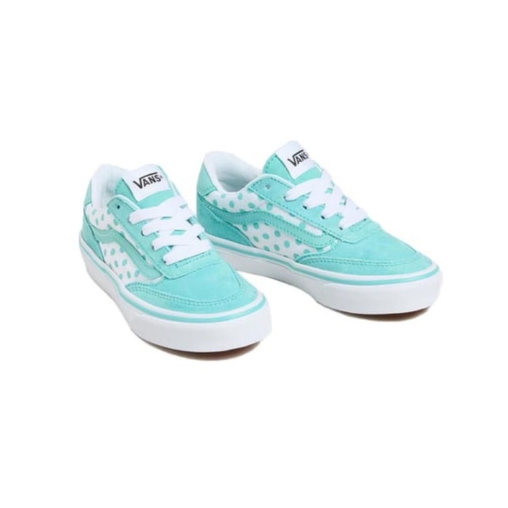 Vans Brooklyn Lifestyle V Skate shoe